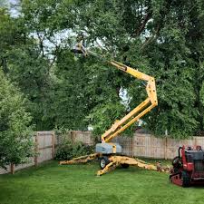 Best Lawn Maintenance Plans  in Feather Sound, FL