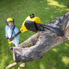 Best Lawn Drainage Solutions  in Feather Sound, FL